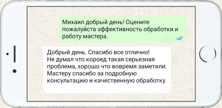 дезинфекция земельных участков и жилых помещений - фото №12