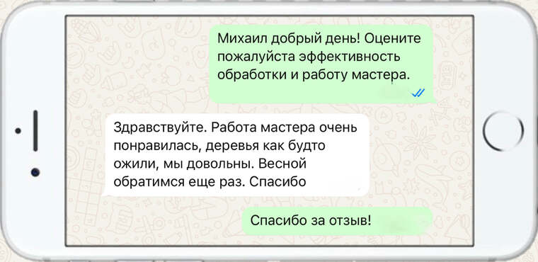 лечение деревьев от насекомых вредителей - фото №19